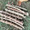Yuca Cassava Cuttings Sweet Manihot for Planting 6-8 Inch 4-Pack